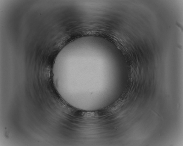 X0000090960230200708301210