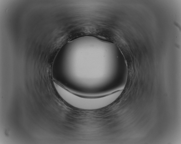 X0000090960233200708301210