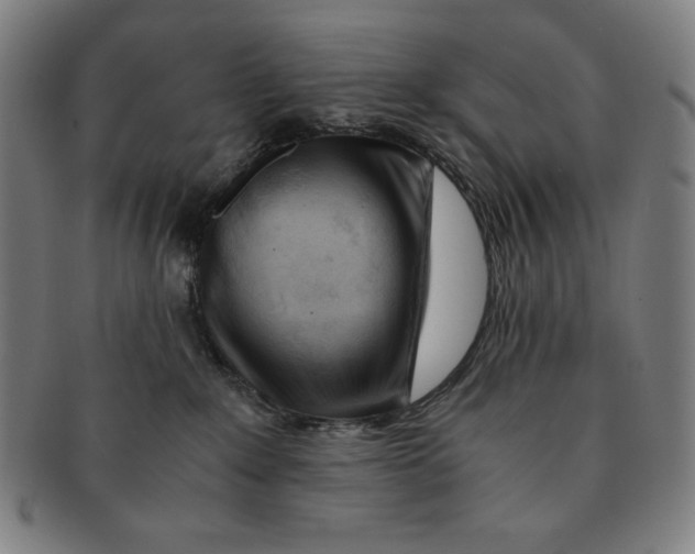 X0000090960235200708301210