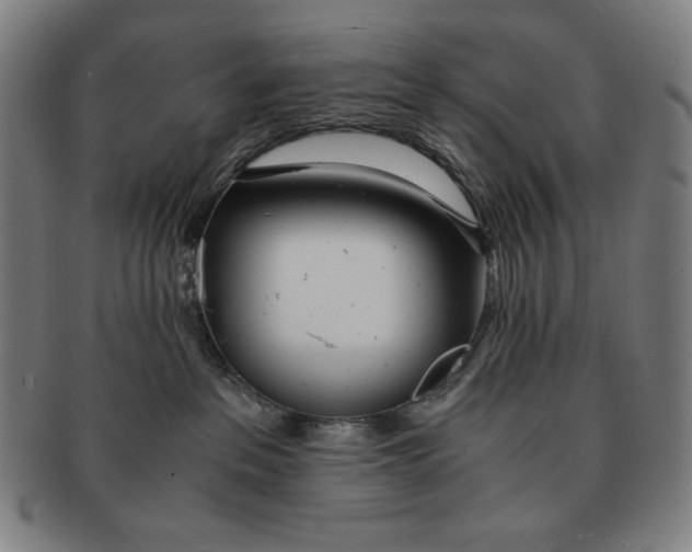 X0000090960237200708301210