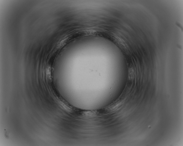 X0000090960238200708301210