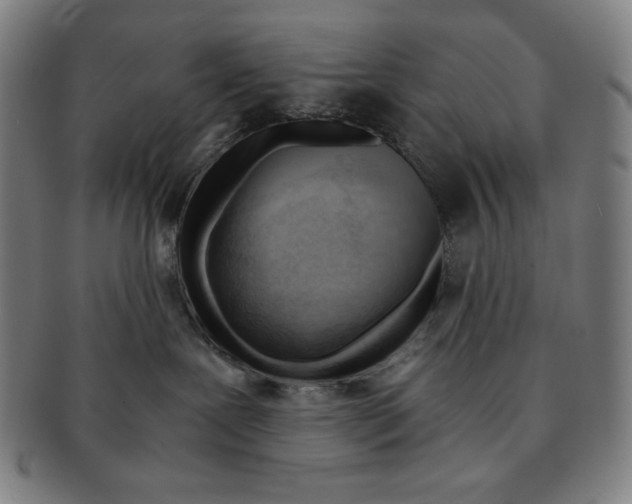 X0000090960239200708301210