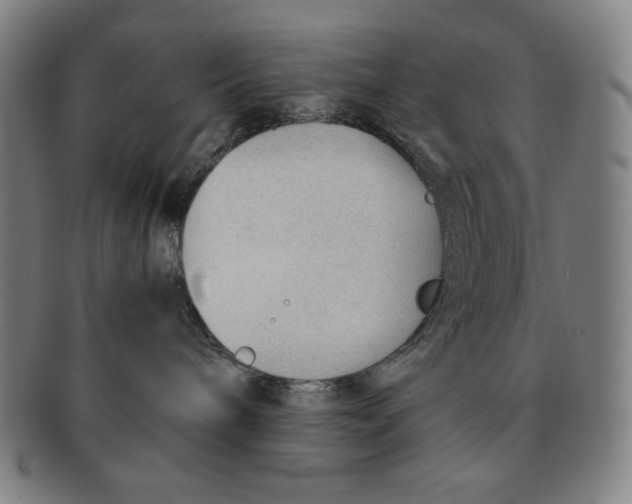 X0000090960240200708301210