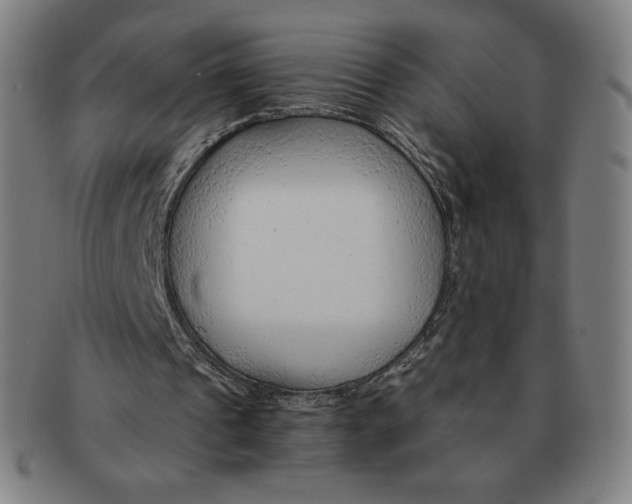 X0000090960241200708301209