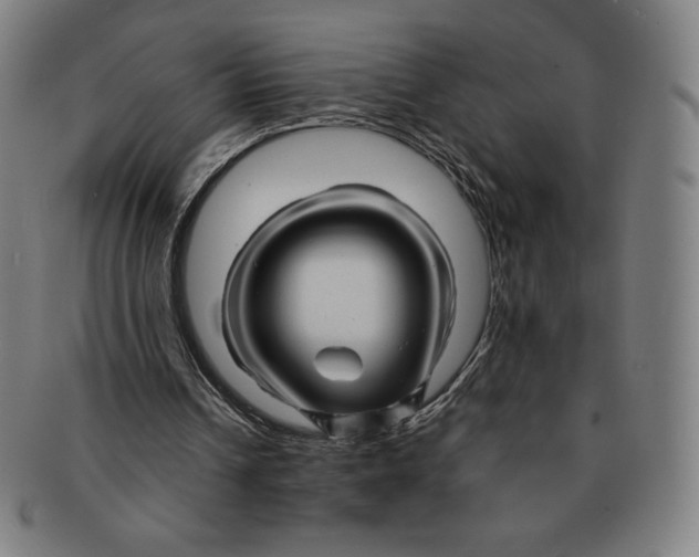 X0000090960242200708301209