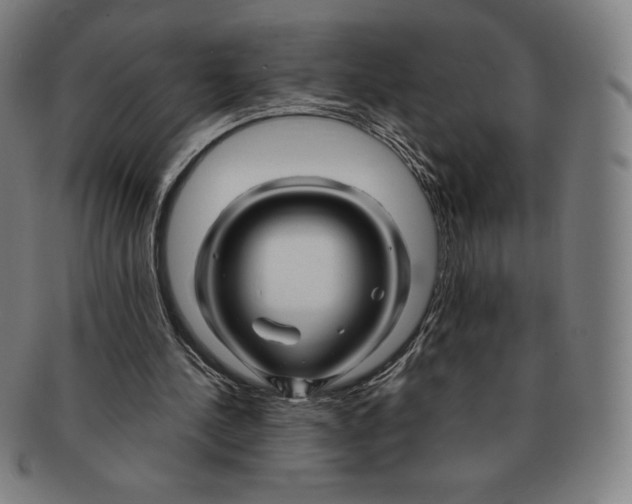 X0000090960244200708301209