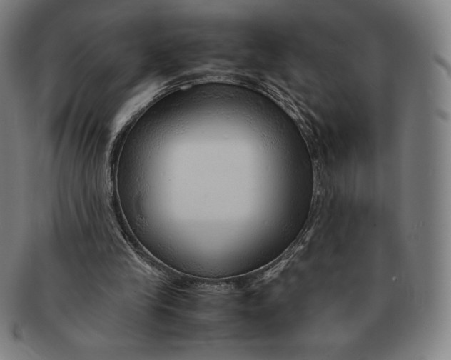 X0000090960245200708301209