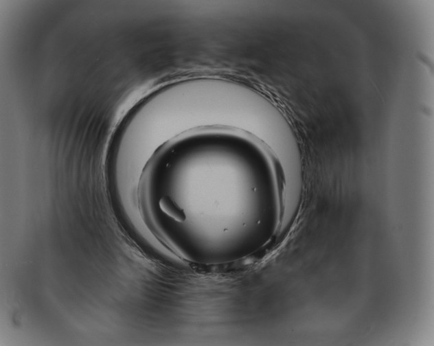 X0000090960246200708301209