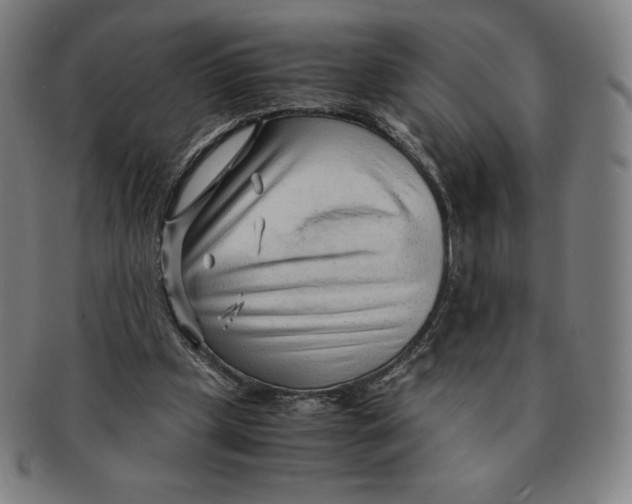 X0000090960249200708301209