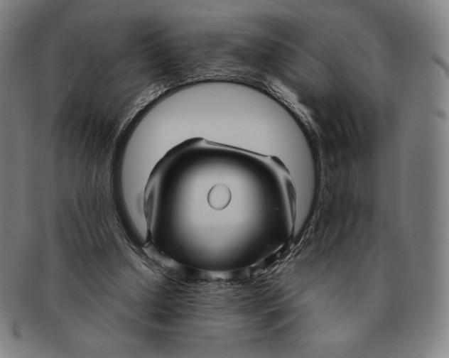 X0000090960250200708301209