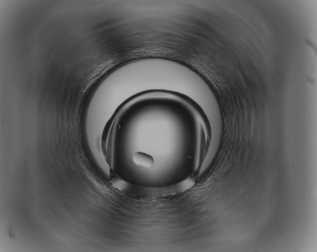 X0000090960254200708301210