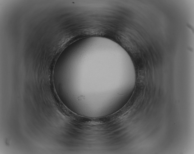 X0000090960255200708301210