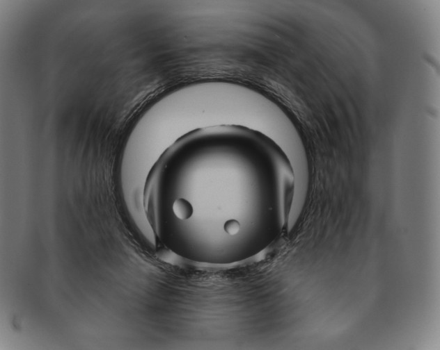 X0000090960258200708301210