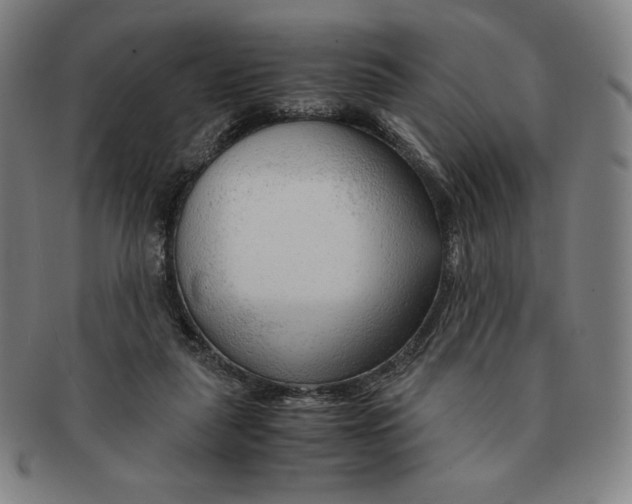 X0000090960259200708301210