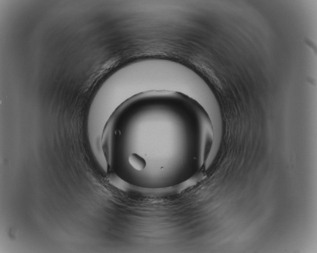 X0000090960260200708301210