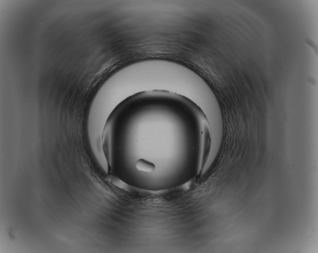 X0000090960262200708301210