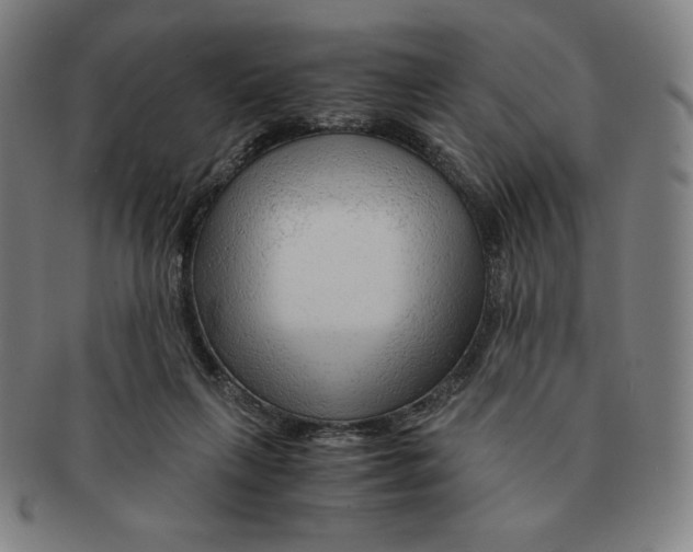 X0000090960263200708301210