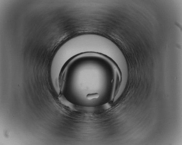 X0000090960264200708301210