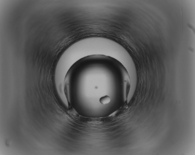 X0000090960266200708301210