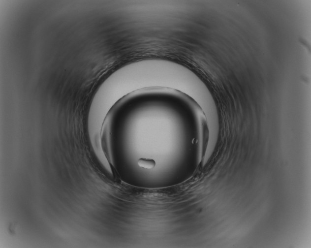 X0000090960268200708301210