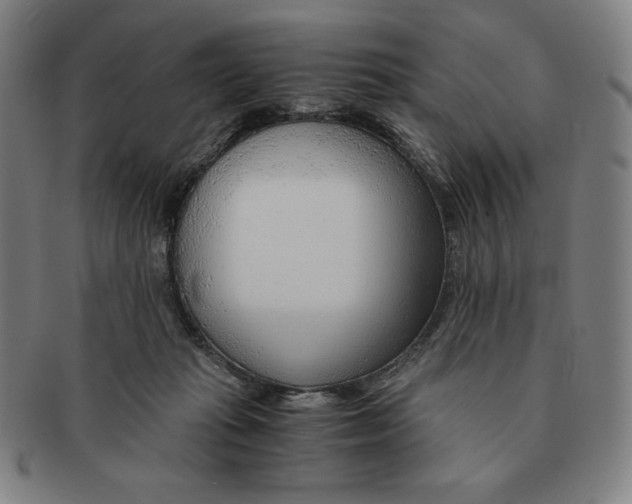 X0000090960269200708301210