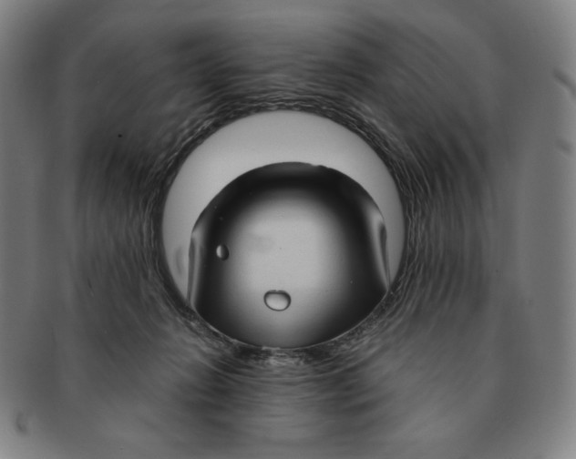 X0000090960270200708301210