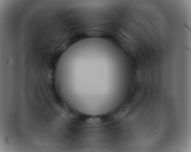 X0000090960271200708301210