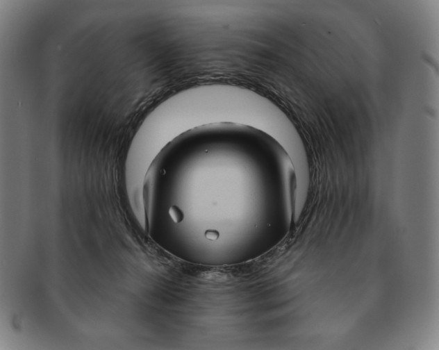 X0000090960272200708301210