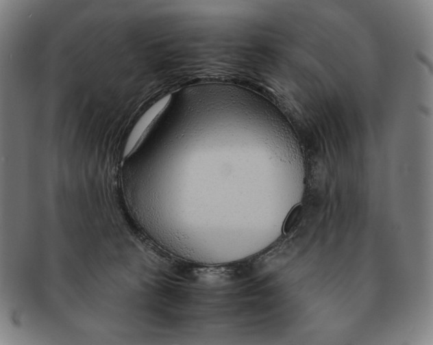 X0000090960273200708301210