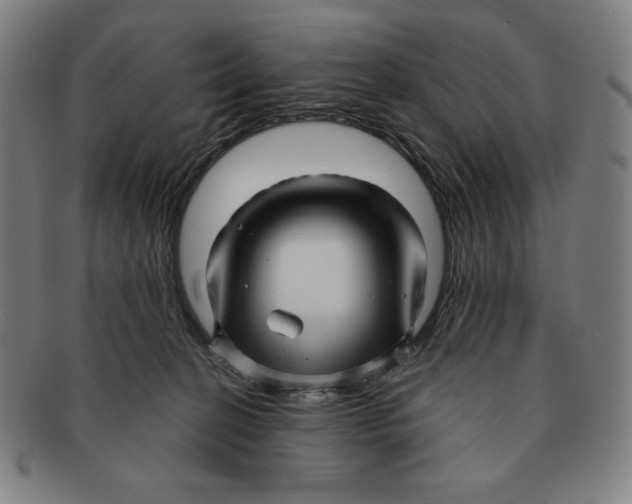 X0000090960274200708301210