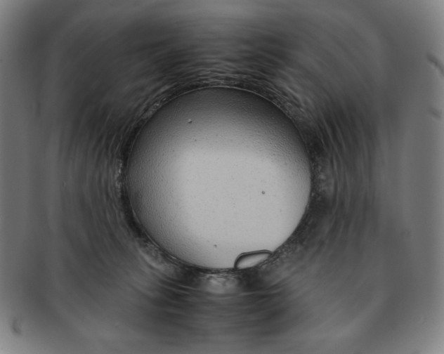 X0000090960275200708301210