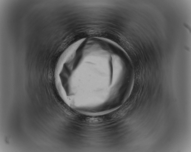 X0000090960277200708301210