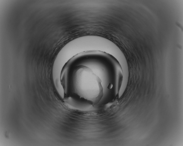 X0000090960278200708301210