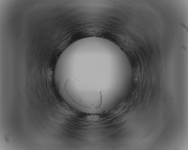 X0000090960279200708301210