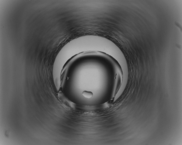 X0000090960280200708301210