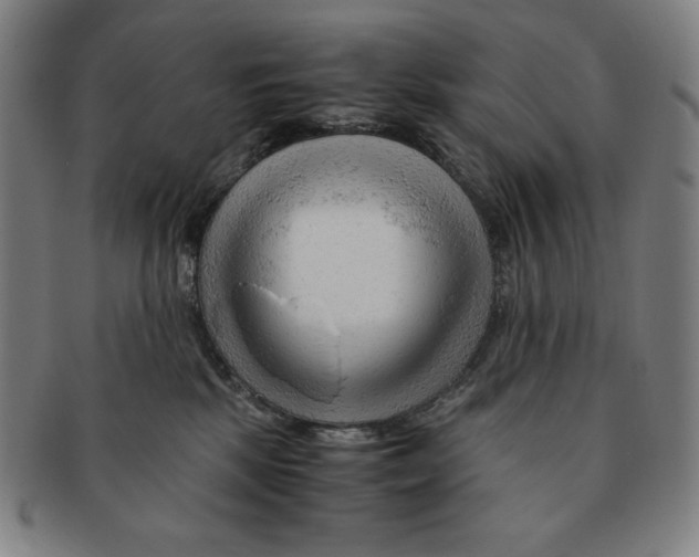 X0000090960281200708301210