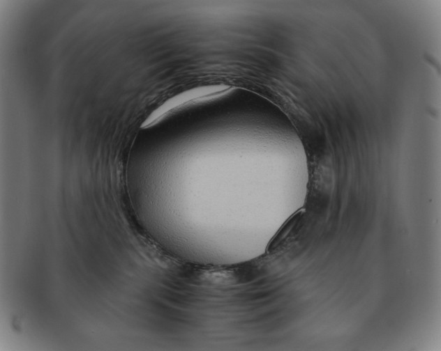 X0000090960283200708301210