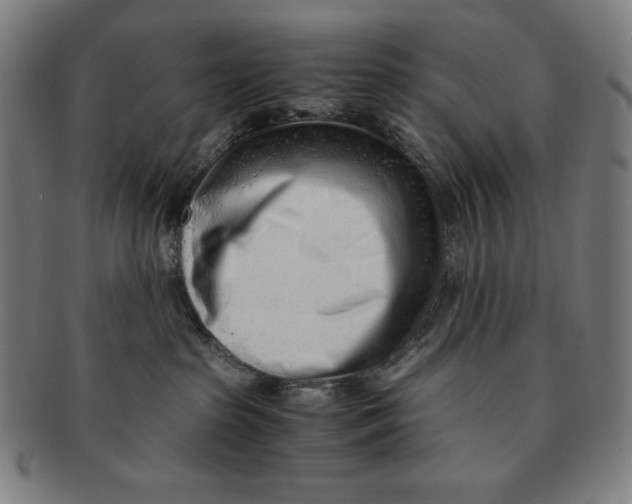 X0000090960285200708301210