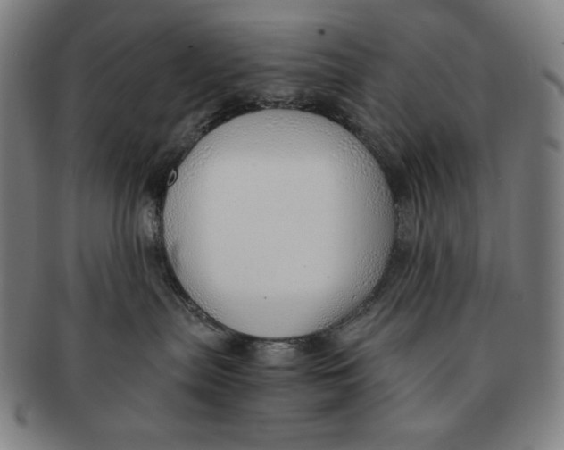 X0000090960287200708301210