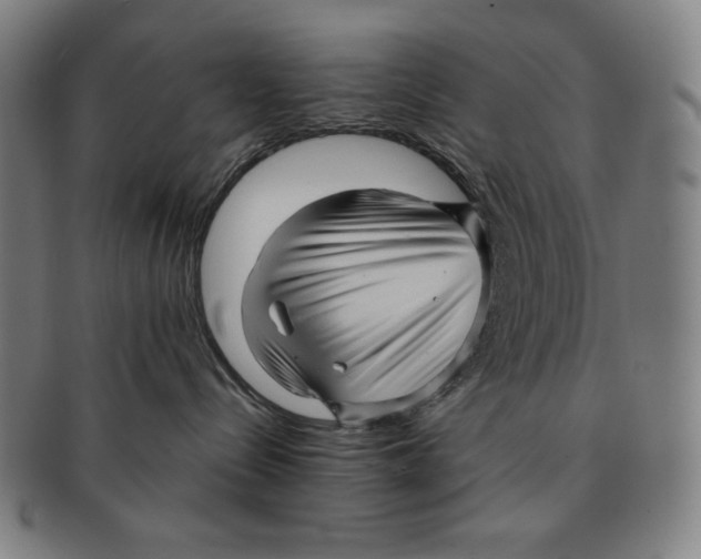 X0000090960288200708301210