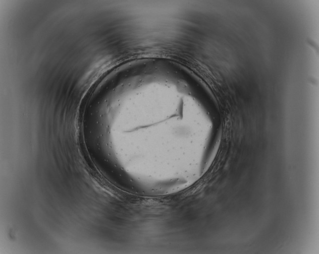 X0000090960290200708301209