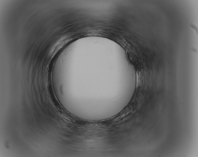 X0000090960291200708301209