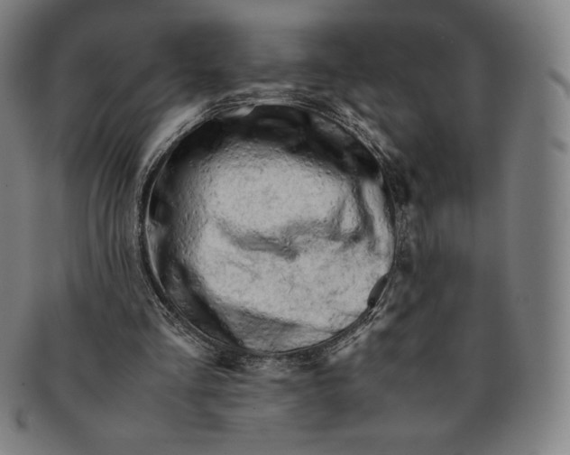 X0000090960293200708301209