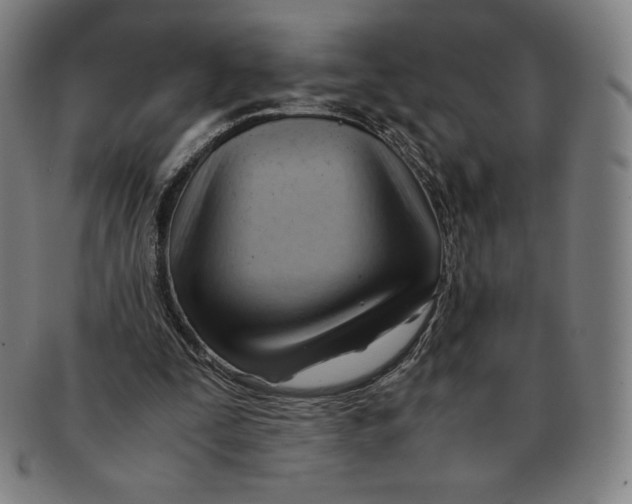 X0000090960295200708301209