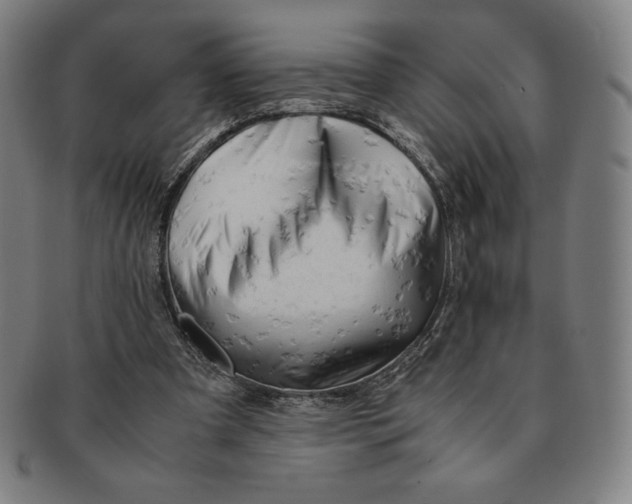 X0000090960297200708301209