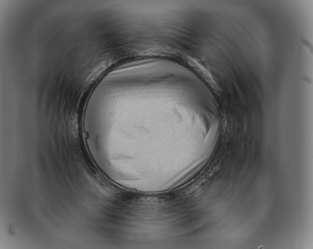 X0000090960298200708301209