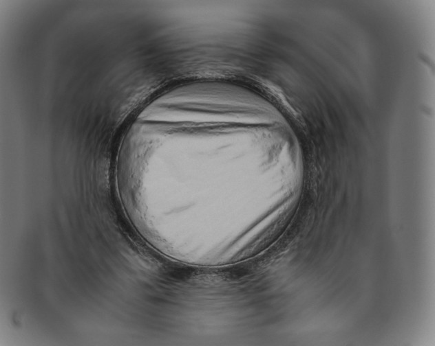 X0000090960299200708301209