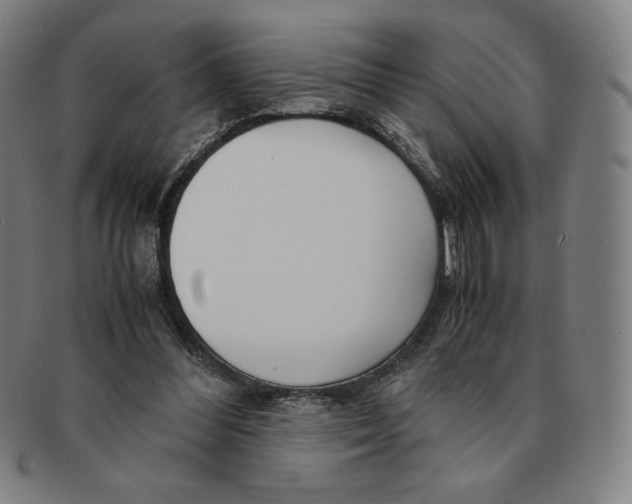 X0000090960300200708301209