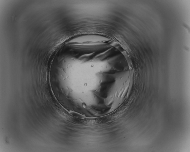 X0000090960301200708301209