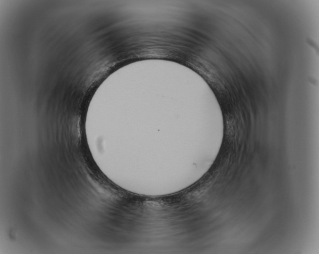 X0000090960302200708301209